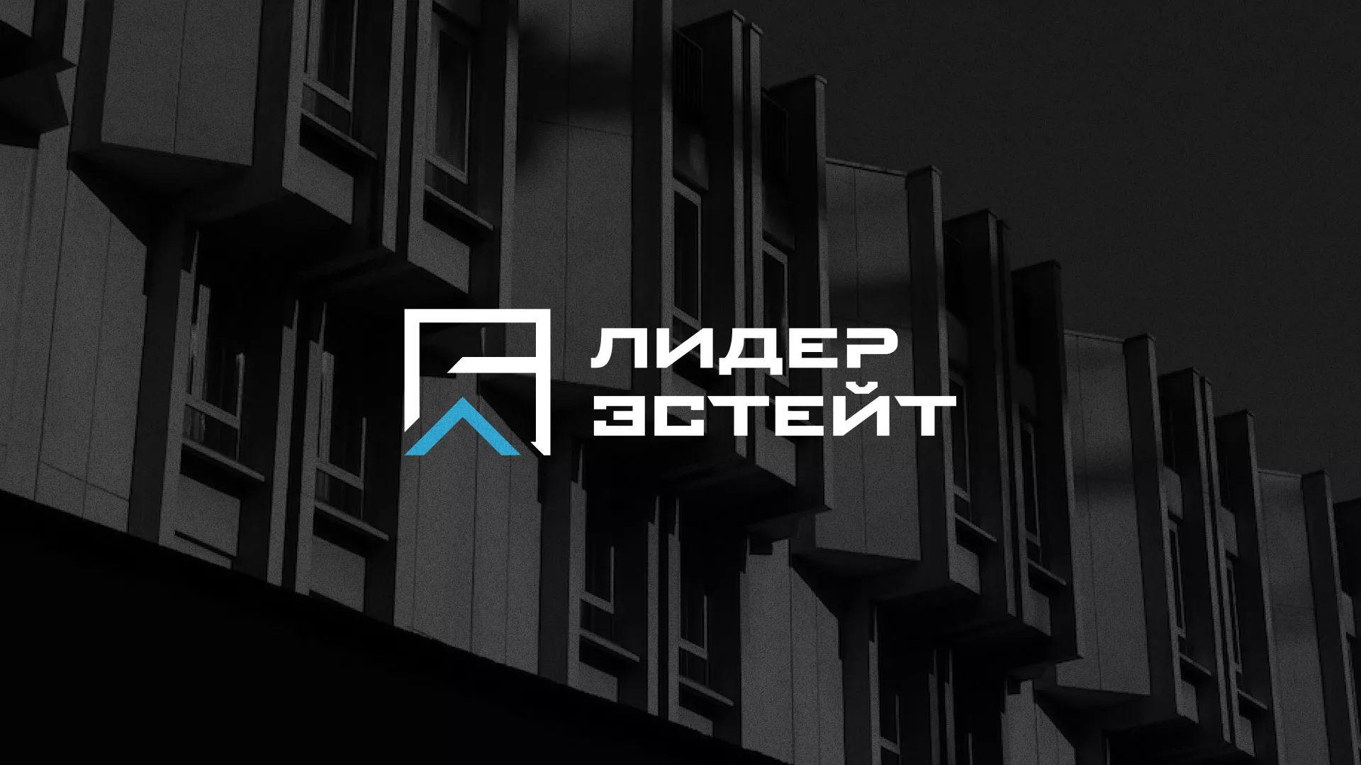 Разработка логотипа агентства недвижимости «Лидер Эстейт» в Симферополе